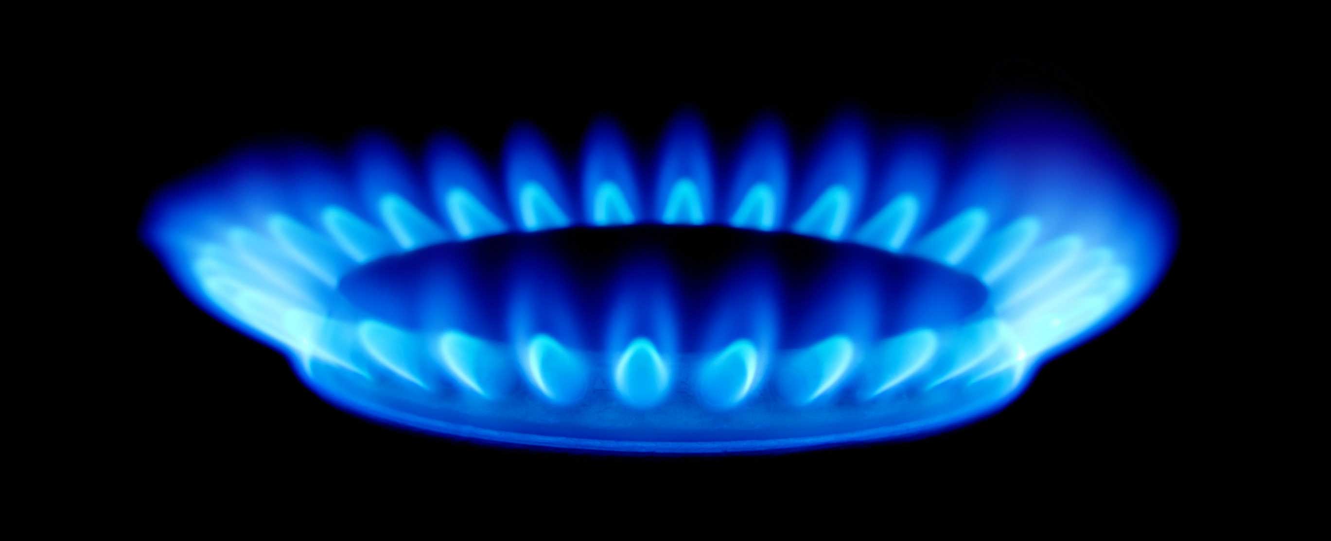 Surveys and Analysis